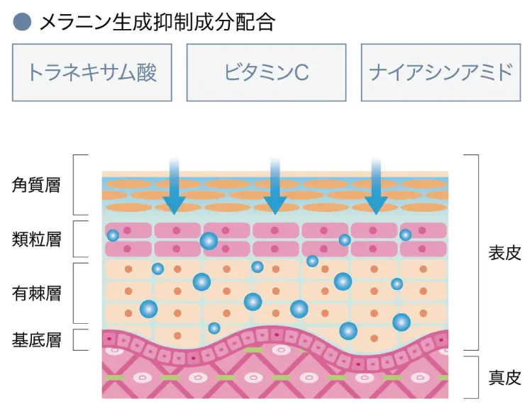 メラニン生成抑制成分配合