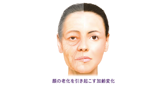顔の老化が引き起こす加齢現象