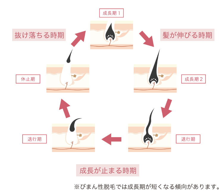 ヘアサイクル