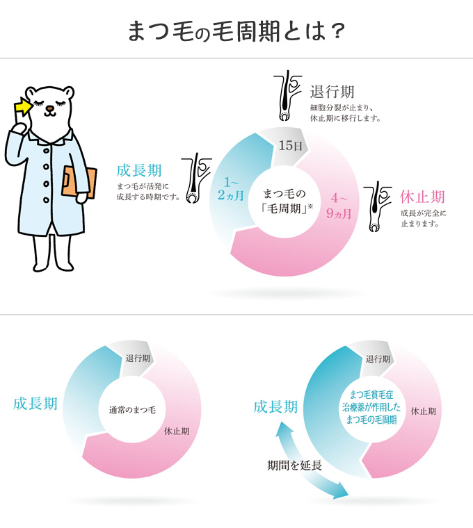 グラッシュビスタのメカニズム