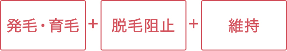 発育 脱毛阻止 維持