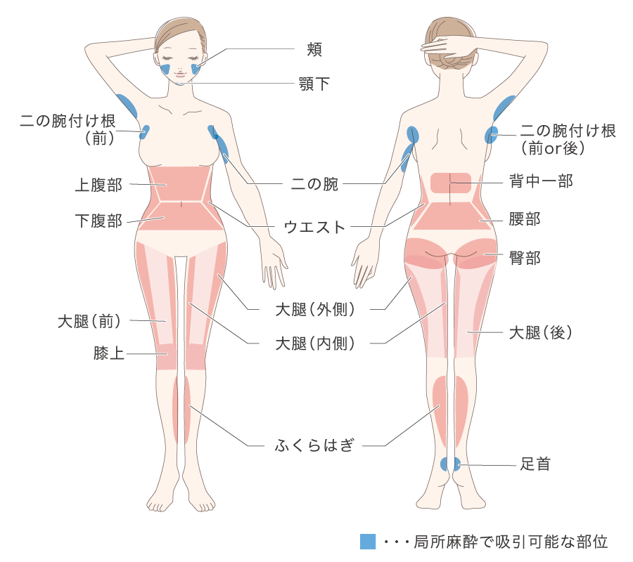 施術可能部位