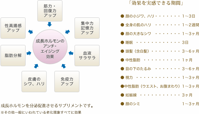 成長ホルモンの分泌力だけで若返りが実現！