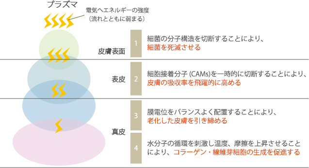 プラズマのヒト皮膚への効果